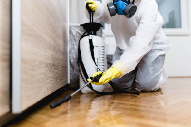 Wasp Removal Services in Fillmore, UT