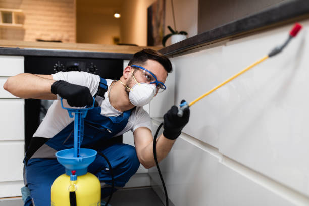 Best Exterminator Services  in Fillmore, UT