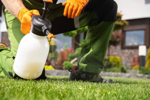 Best Pest Removal Services  in Fillmore, UT