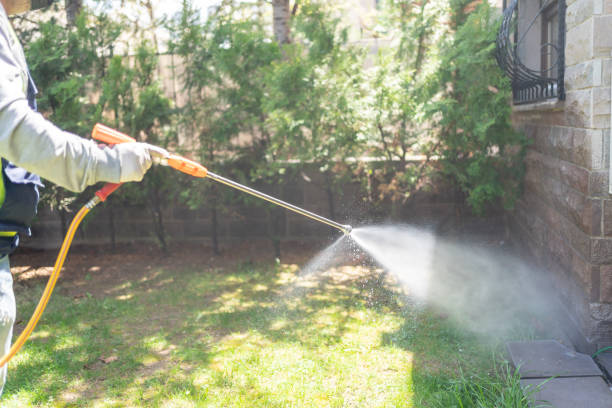 Trusted Fillmore, UT Pest Control Experts