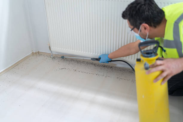 Best Termite Control Services  in Fillmore, UT